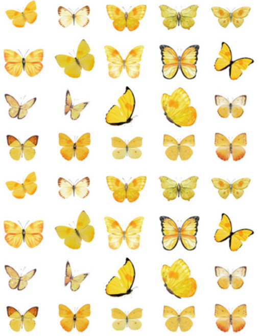해피제이 데코 인테리어 나비 스티커 40개 세트, 노랑나비, 1세트