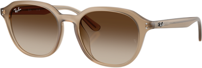 Ray-Ban 雷朋 膠框太陽眼鏡 漸層鏡片 RB4459D-616613