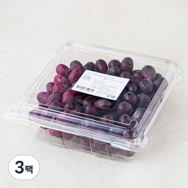 다조은 칠레산 씨없는 적포도, 1.2kg, 3팩
