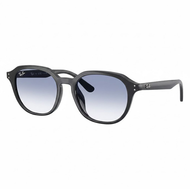 Ray-Ban 雷朋 膠框太陽眼鏡 漸層鏡片 RB4459D-623019