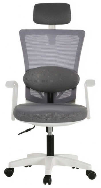 BareunLab 姿勢矯正學習辦公電腦椅 頭枕腰靠款, 白色 + 深灰色