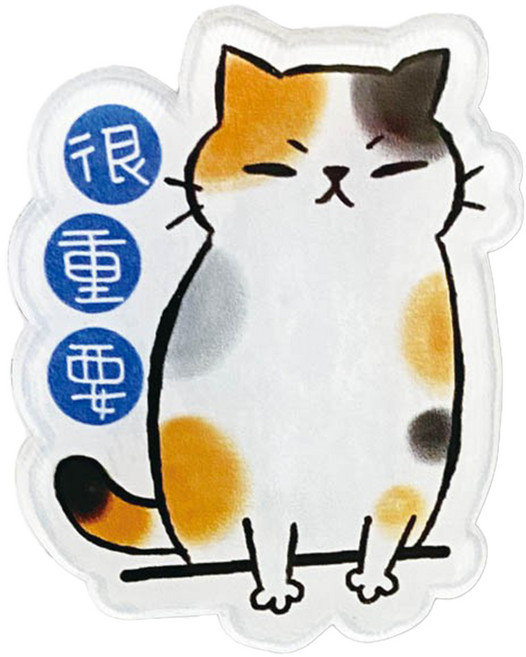JOY STAR 九達 O_Cat 貓咪壓克力冰箱貼_很重要, 貓咪