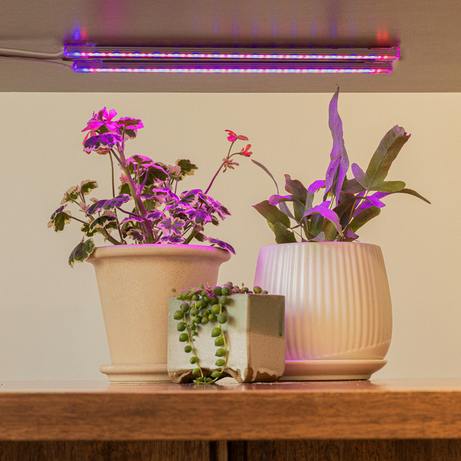LUAZ 黏貼式LED燈條 植物生長照明 植物燈 33cm 2頭