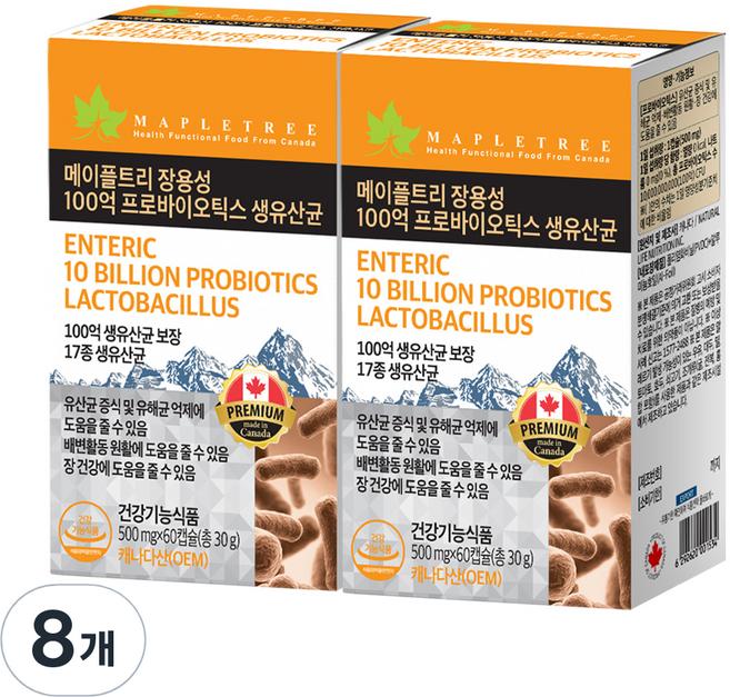 메이플트리 장용성 100억 프로바이오틱스 생유산균, 8개, 60정