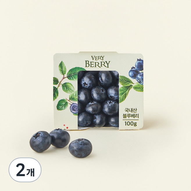 국내산 유레카 블루베리 특, 2개, 100g