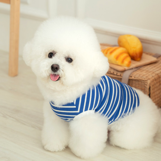 펫츠랜드 강아지 로키 티셔츠, 블루, 1개