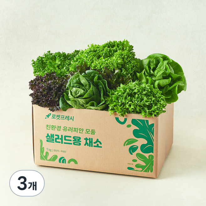 친환경 유러피안 모둠 샐러드용 채소, 1kg, 3개