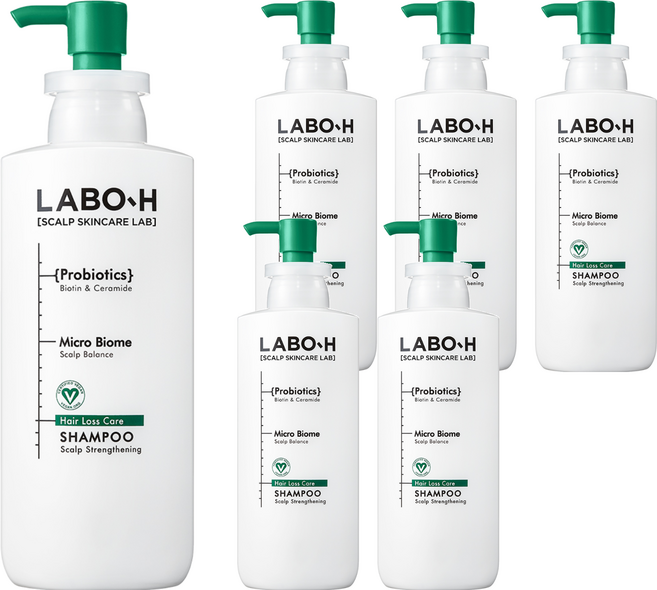 라보에이치 두피강화 클리닉 탈모증상완화 샴푸, 400ml, 6개