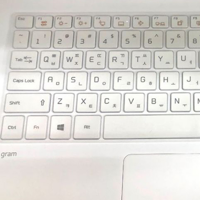 잇버스 그램/울트라 15 호환 키스킨, 투명, 1개