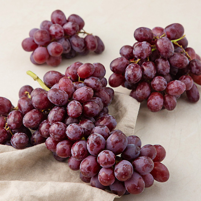 곰곰 씨없는 적포도, 1.2kg, 1팩