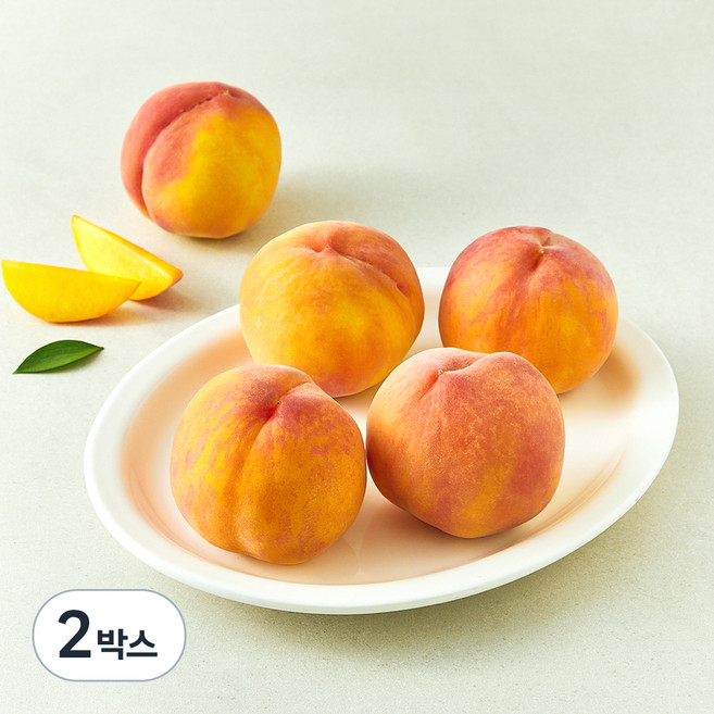 농협 유명산지 당도선별 부드러운 황도복숭아, 1.8kg(5~8입), 2박스