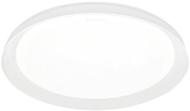 DANCELIGHT 舞光 LED暖陽遙控吸頂燈 30W, 白色 + 銀色