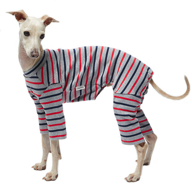 럭키페터 강아지 스트라이프 올인원, 스트라이프그레이, 1개