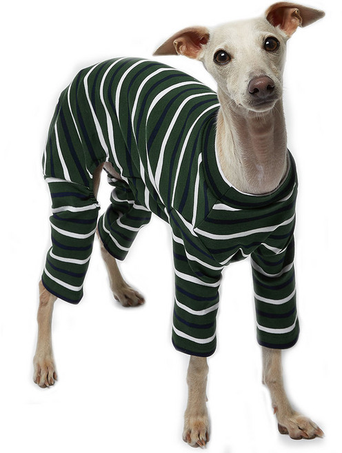 럭키페터 강아지 스트라이프 올인원, 스트라이프그린, 1개