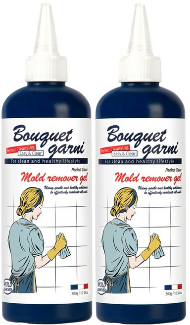 부케가르니 퍼펙트 클린 바르는 곰팡이 제거제, 300g, 2개