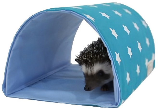 도치퀸 순면 터널 동굴포치 대형, 하늘, 1개