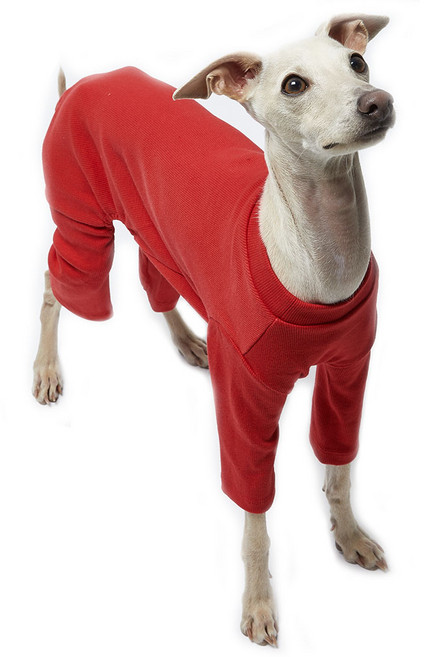 럭키페터 강아지 스탠다드 아이쥐옷 올인원 파자마, 레드, 1개