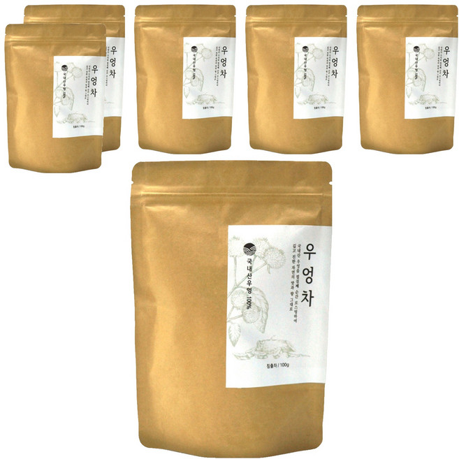 자연지애 껍질째 볶은 우엉차, 100g, 1개입, 6개