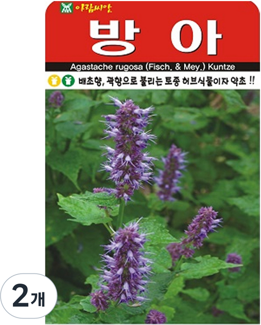 아람종묘 방아 씨앗 1000립, 2개