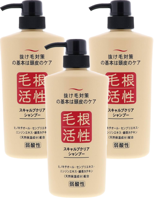 JUN COSMETIC 純藥 毛根活性洗髮精 一般款, 550ml, 3瓶