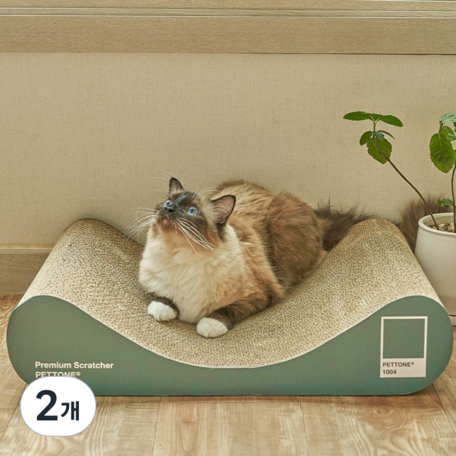 펫톤 고양이 소파형 스크래쳐, 딥그린, 2개