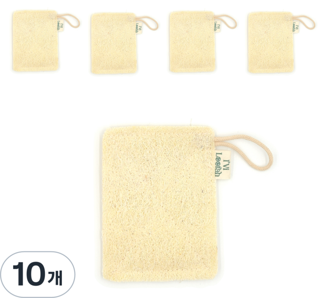 STAGER 사각 수세미 소 8.5 x 11 cm, 1개입, 10개