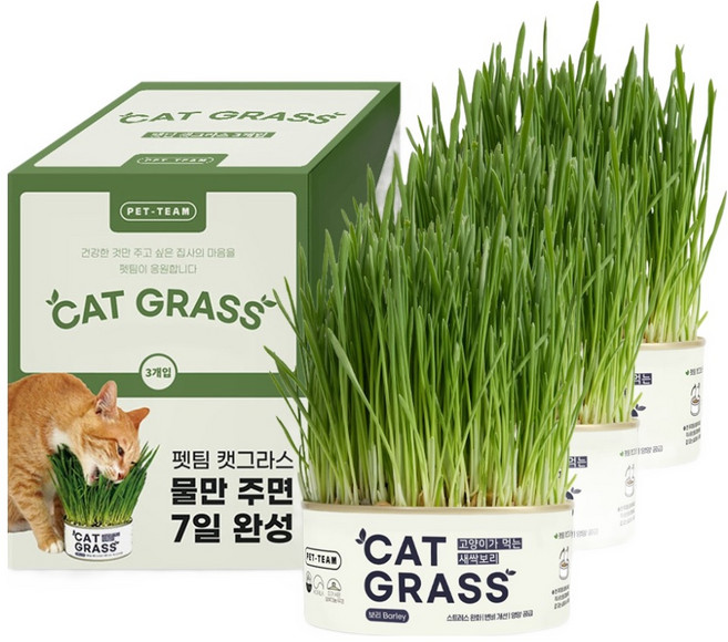 펫팀 고양이 캣그라스, 새싹보리, 200g, 3개