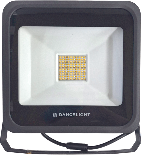 DANCELIGHT 舞光 50W 宙斯泛光燈, 1個