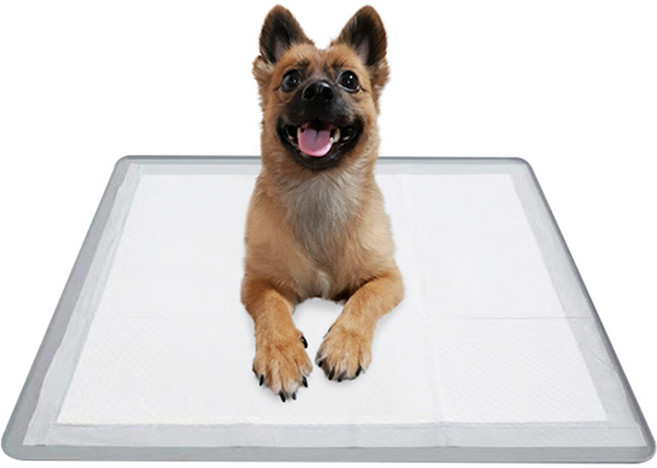 미스터추추 반려동물 논슬립 실리콘 배변매트, 그레이, 1개