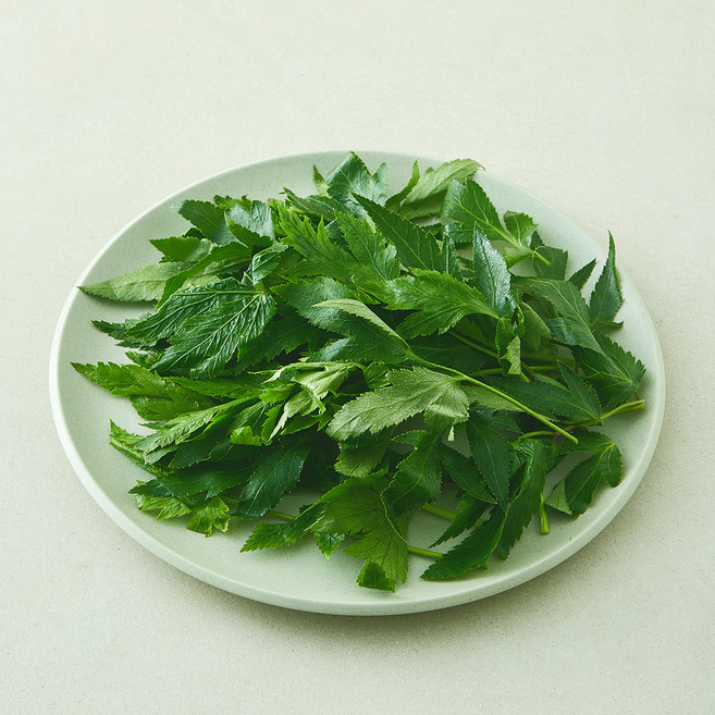 당귀잎, 50g, 1개