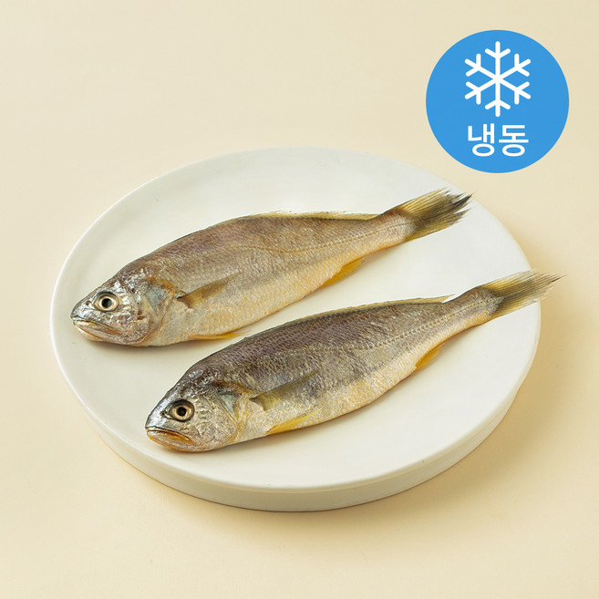 품질인증 초록바다 영광 굴비 (냉동), 240g(2미), 1개