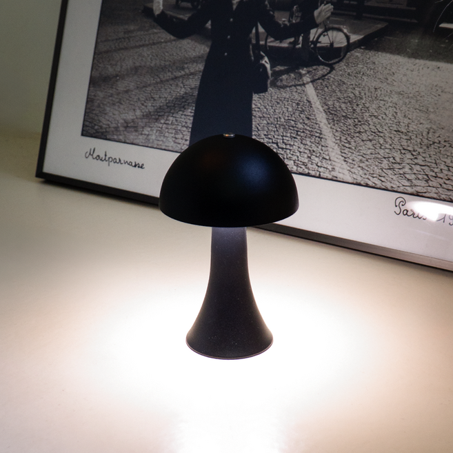 레나에너지 미니멀 돔 램프 13.5 x 18 cm, 블랙