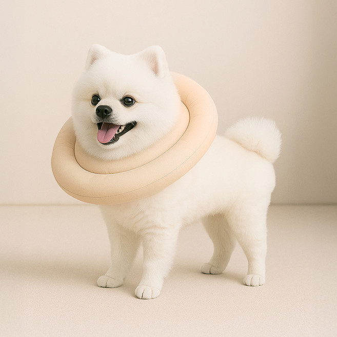 레토 강아지 고양이 넥카라 방수 초경량 대형견 소형견, 베이지, 1개