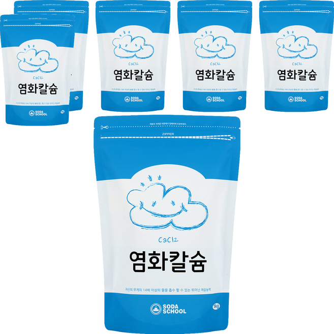 소다스쿨 염화칼슘 제습제 리필, 1kg, 6개