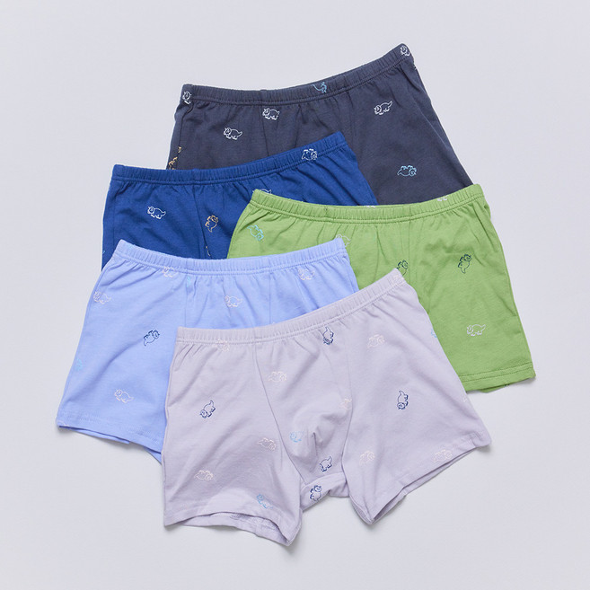 엘르이너웨어 남아용 다이노 학생 드로즈 5종 세트