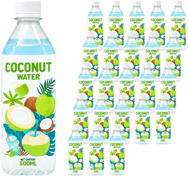 RFC비넛 코코넛 워터 100%, 500ml, 24개