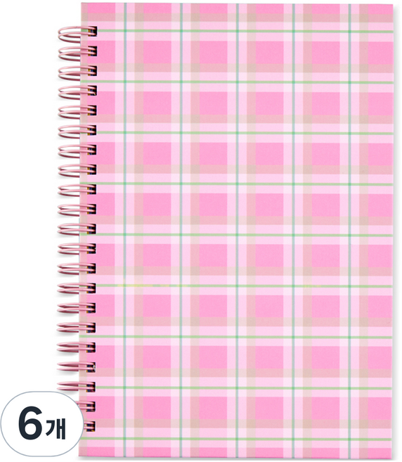 아르디움 데코 포인트 스프링 노트, 핑크, 6개