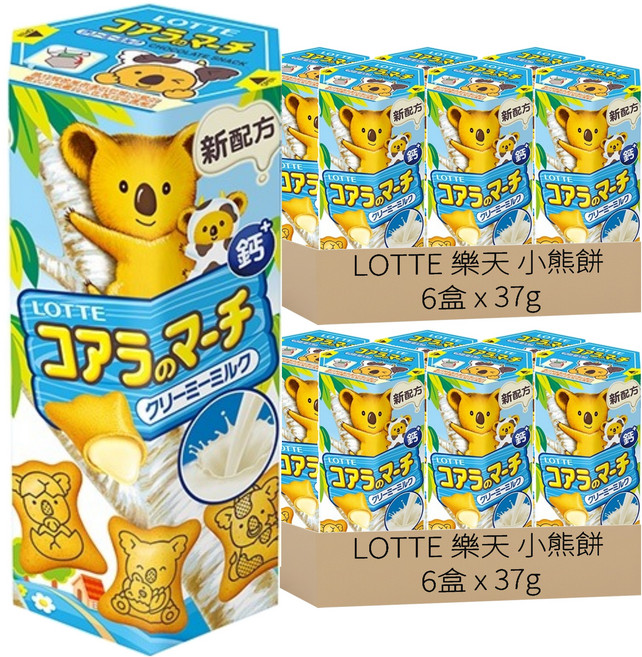 LOTTE 樂天 小熊餅 牛奶風味, 37g, 12盒