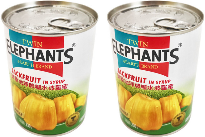 TWIN ELEPHANTS 雙象地球牌 糖水波羅蜜, 565g, 2罐