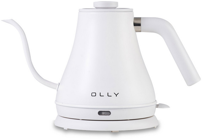 OLLY 전기포트, 800ml, 1개, 단품