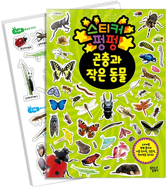스티커 펑펑: 곤충과 작은 동물, 꿈꾸는달팽이