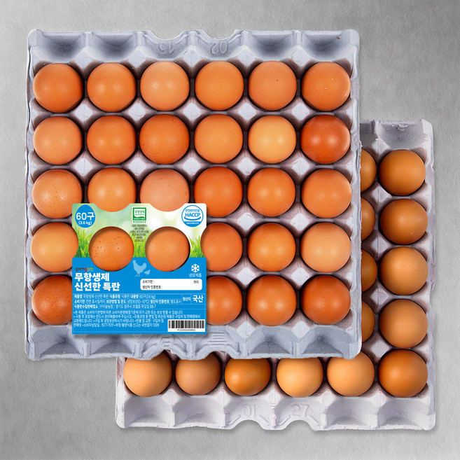 곰곰 무항생제 신선한 특란, 60구, 1개