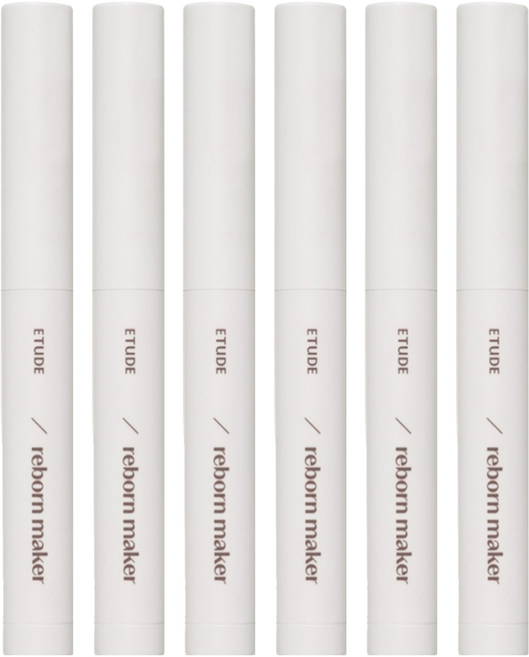 에뛰드 재창조 메이커 쉐딩 스틱 1g, 웜, 6개