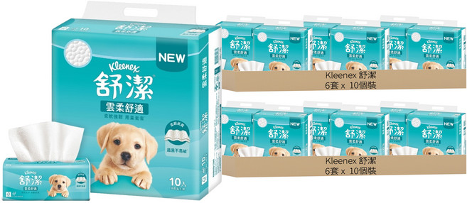 Kleenex 舒潔 雲柔舒適抽取衛生紙 100抽 83055, 12套, 10個裝