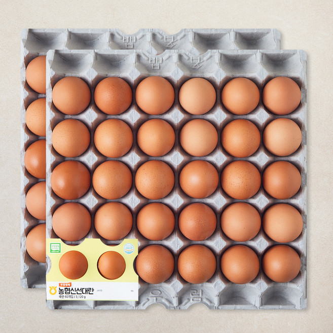 농협 무항생제 인증 신선 대란 3120g, 1개, 60구