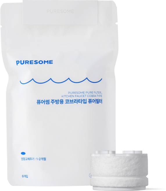 퓨어썸 주방용 필터 코브라타입, 1개