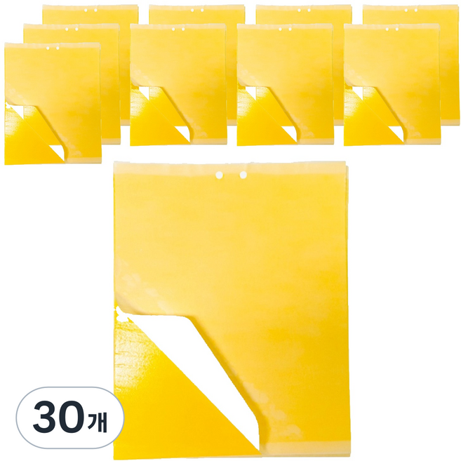 대길산업 초파리 날파리 뿌리파리 트랩 끈끈이마스터, 30개