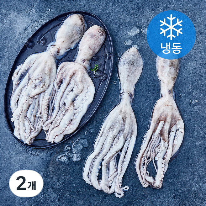 신선작 활낙지 (냉동), 2개, 850g