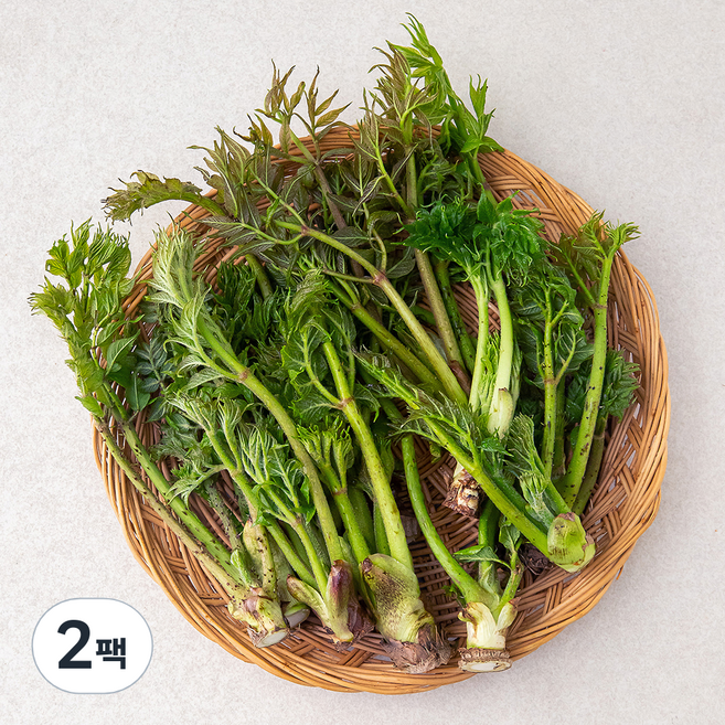 국내산 참두릅, 200g, 2개