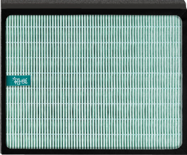 怡悅 抗病毒濾心 台灣製造 適用Philips 飛利浦 DE5205 DE5206 DE5207, FY1119, 1個